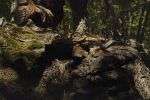 GARMONT T8 BIFIDA REGULAR - Imagen 3
